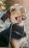 Doc Holiday photo 2