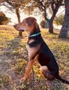 Doc Holiday photo 3