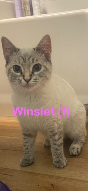 WINSLET