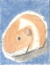 Bread photo 2