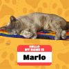 Marlo (Courtesy Post) photo 2