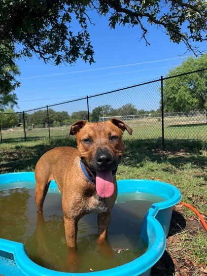 Roscoe