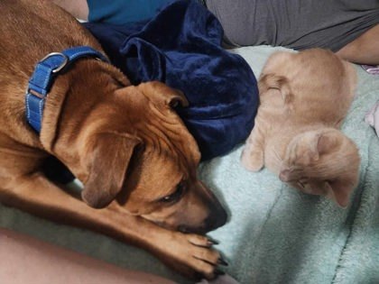 Roscoe