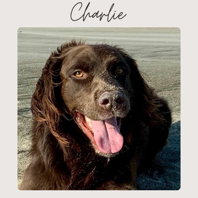 CHARLIE