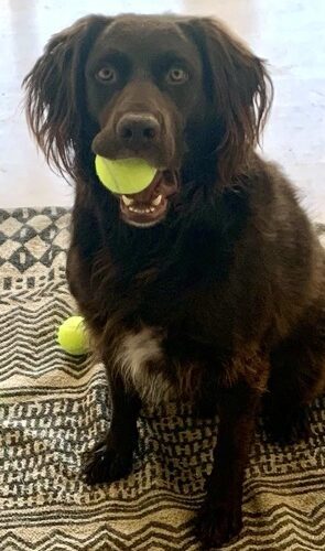 CHARLIE