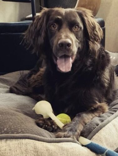 CHARLIE