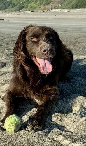 CHARLIE