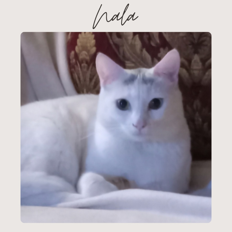 NALA
