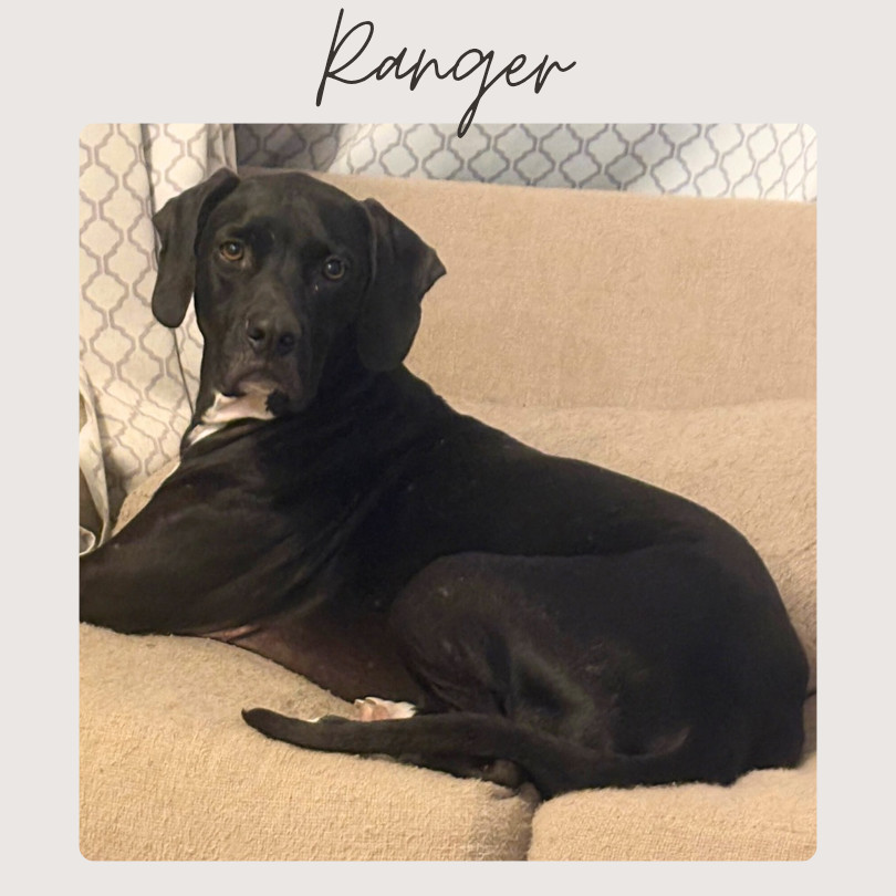RANGER