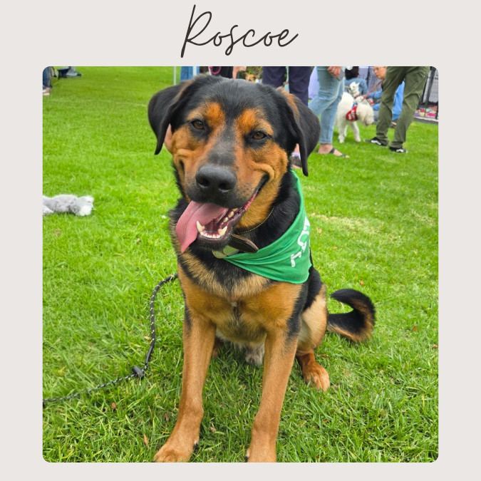ROSCOE