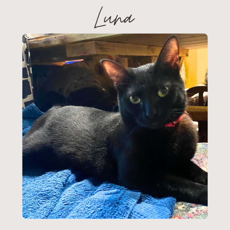 LUNA