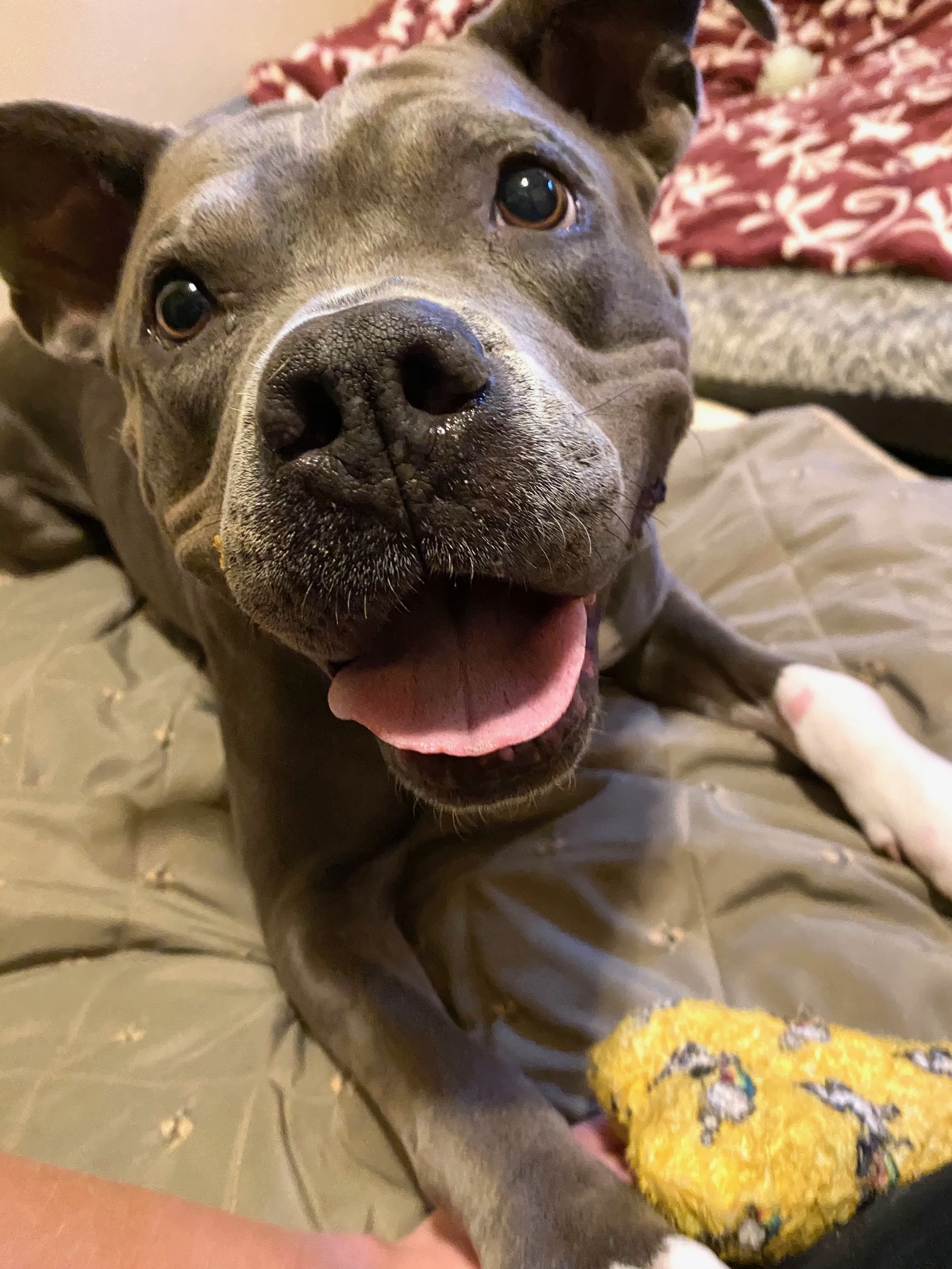 Athena