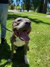 Athena photo 2