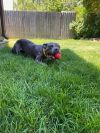 Athena photo 3