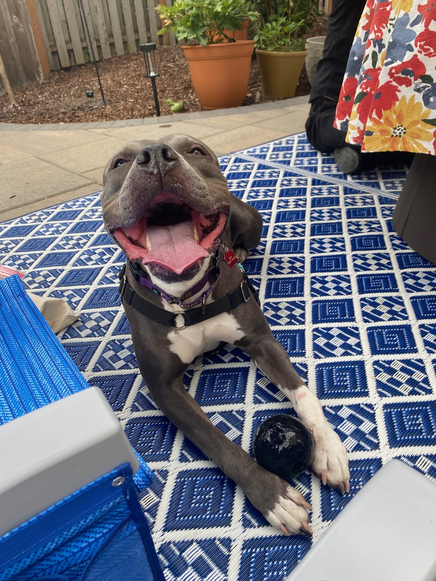Athena