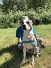 Wade (mcas) photo 5