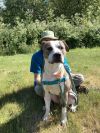 Wade (mcas) photo 6