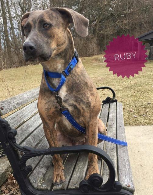 Ruby