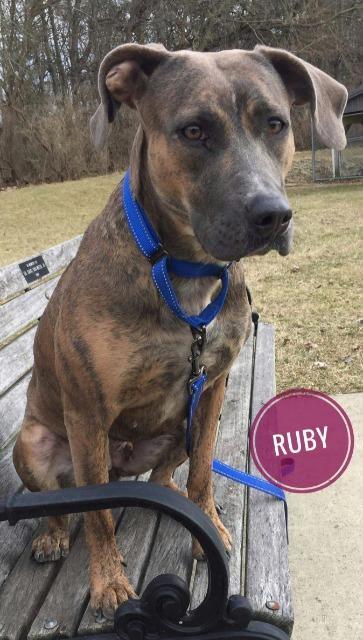 Ruby