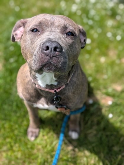 Penelope