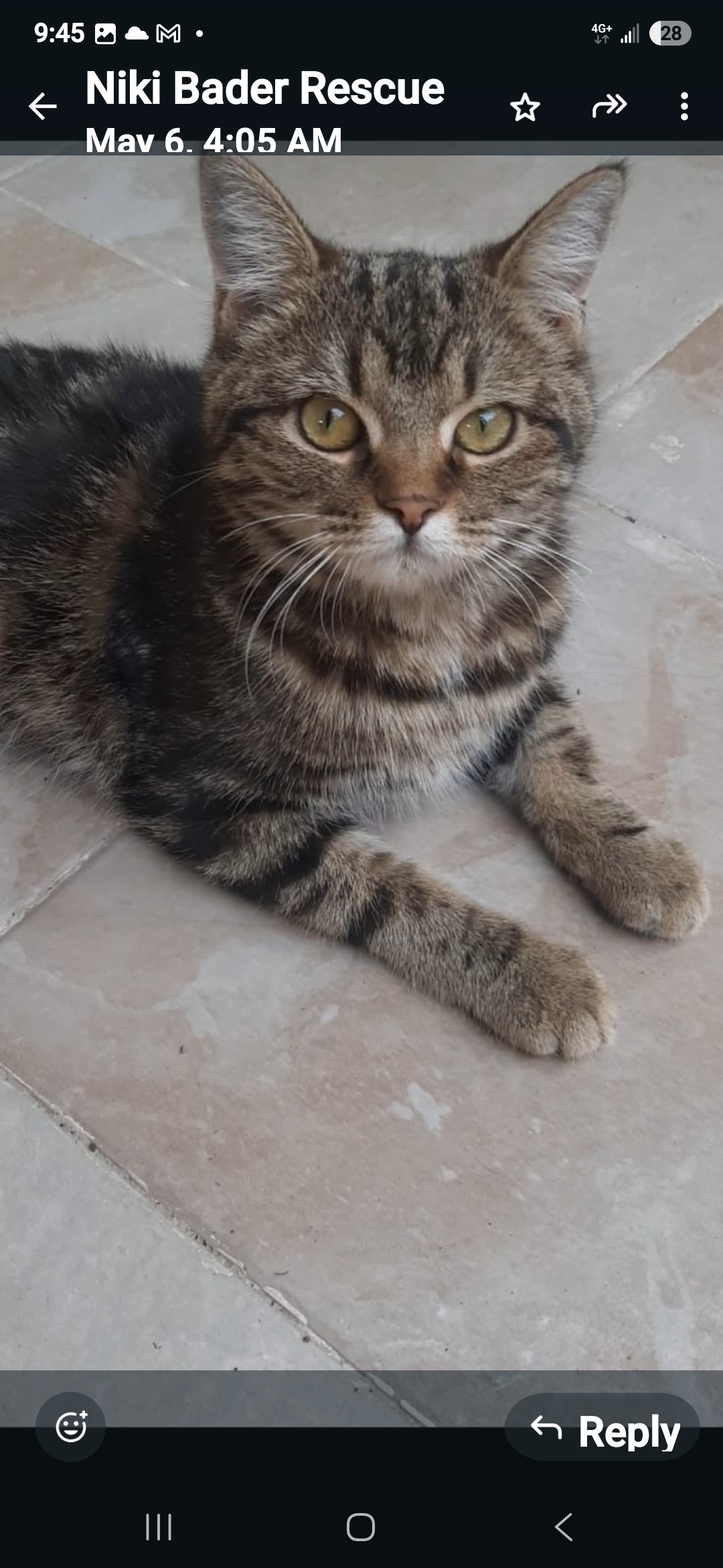 Luna