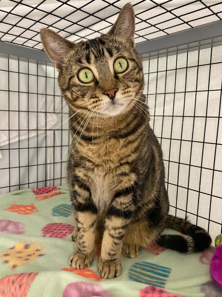 Lucy
