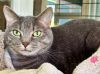 Ellie Mae photo 2