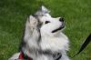 Maggie photo 6
