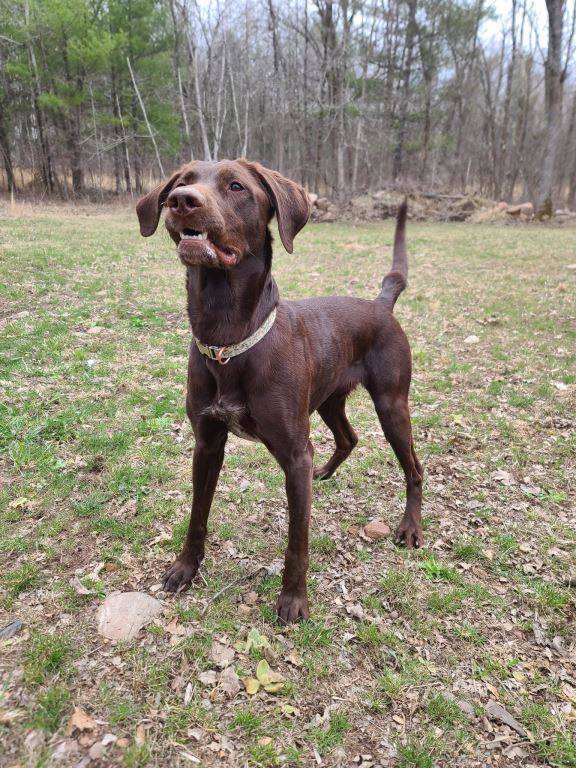 Zoey D6069