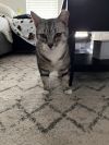Felix photo 4