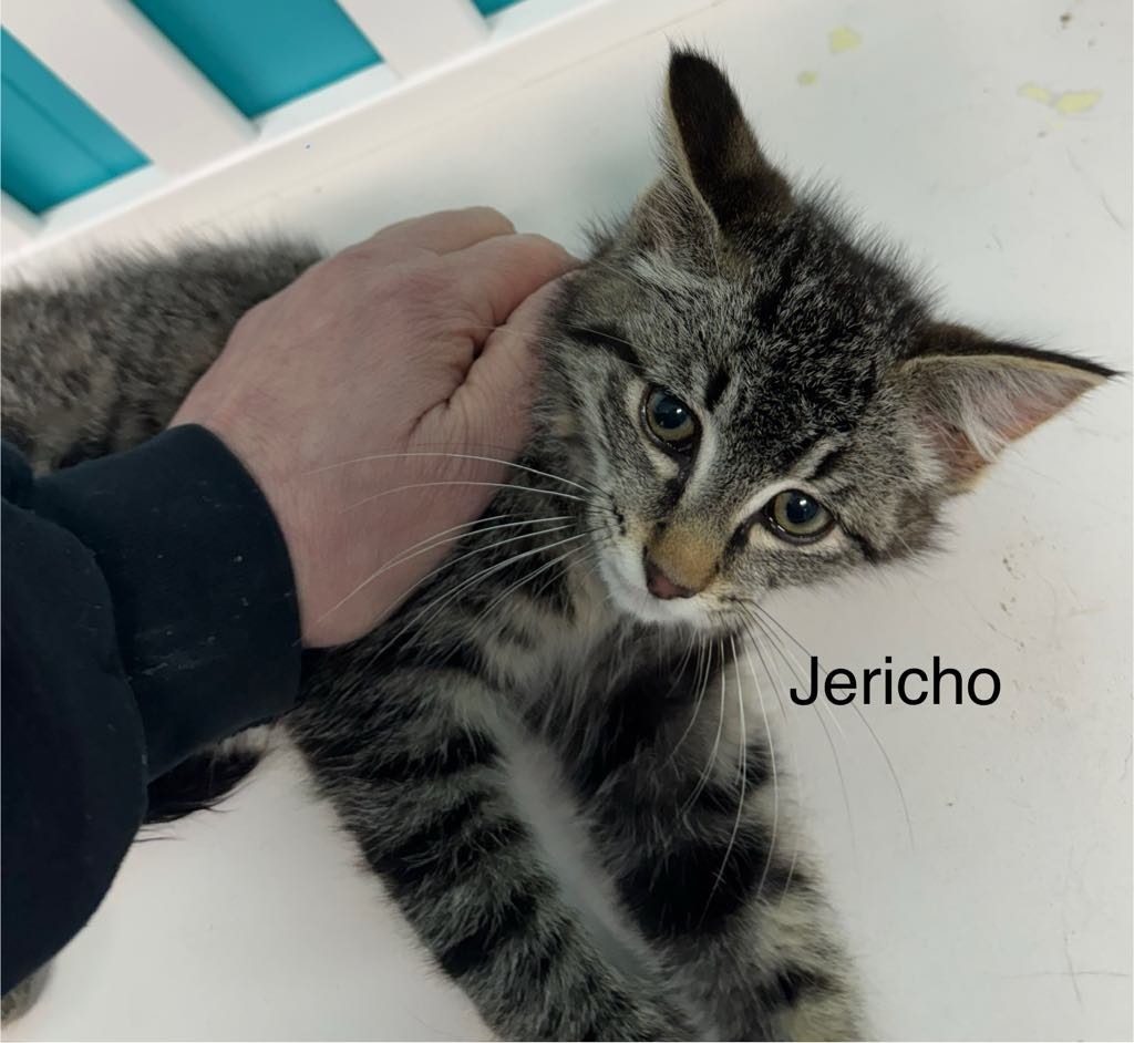 Jericho