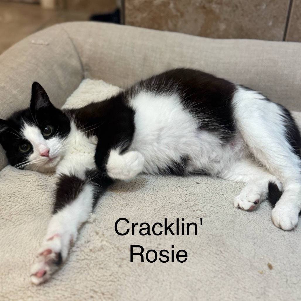 Cracklin' Rosie