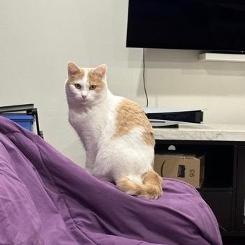 Penelope (bonded to Pauline)