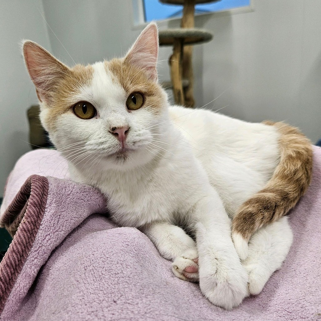 Penelope (bonded to Pauline)
