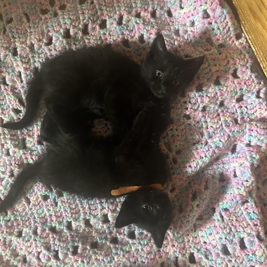 Onyx
