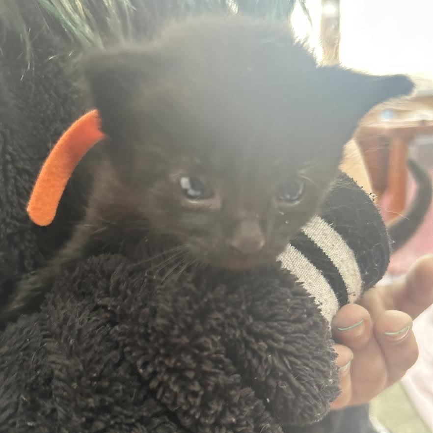 Onyx