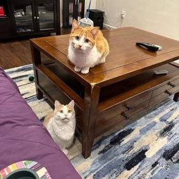 Pauline (bonded to Penelope)