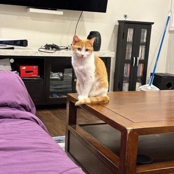 Pauline (bonded to Penelope)