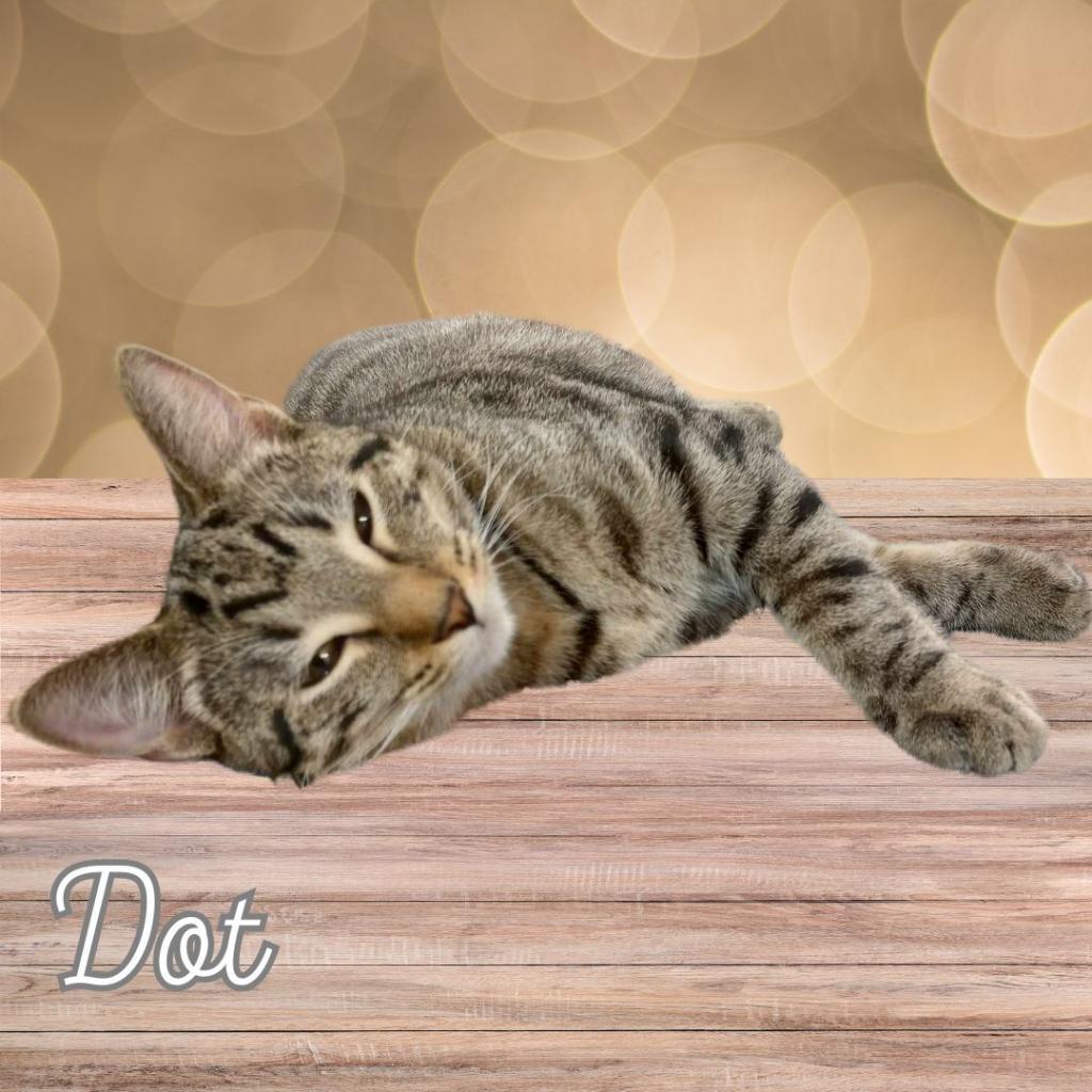 Dot