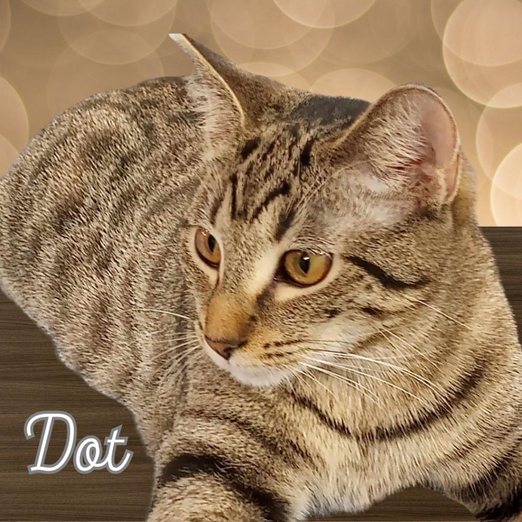 Dot