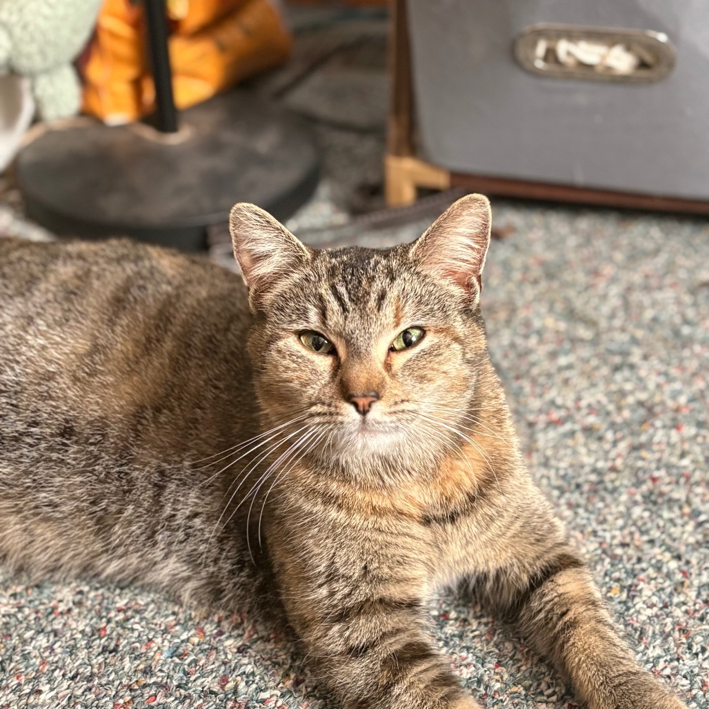 Topaz