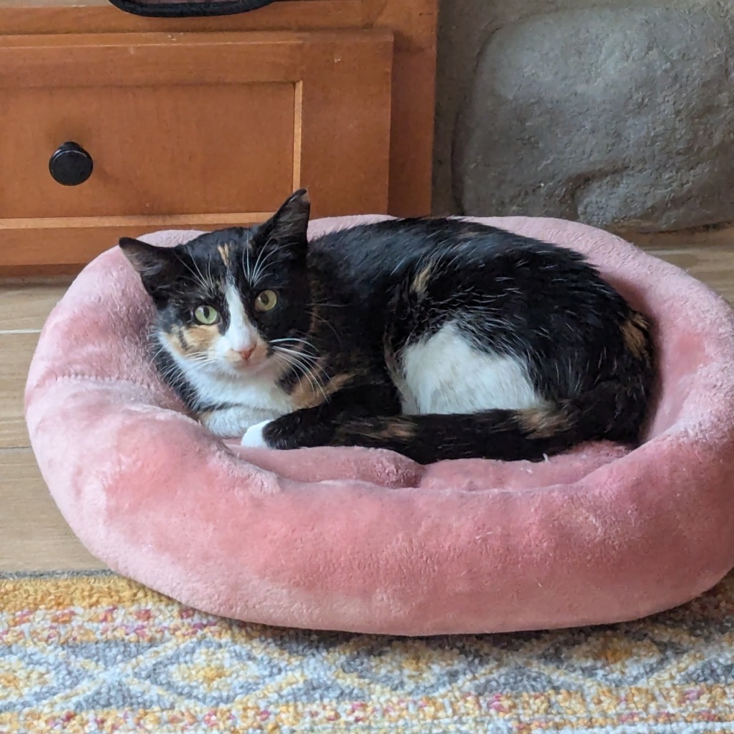 Winona--In Foster