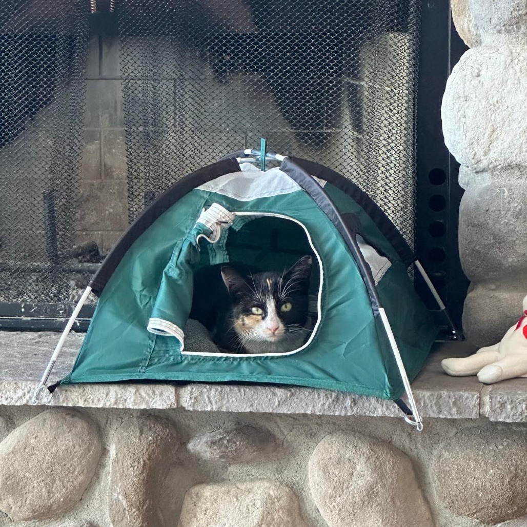 Winona--In Foster