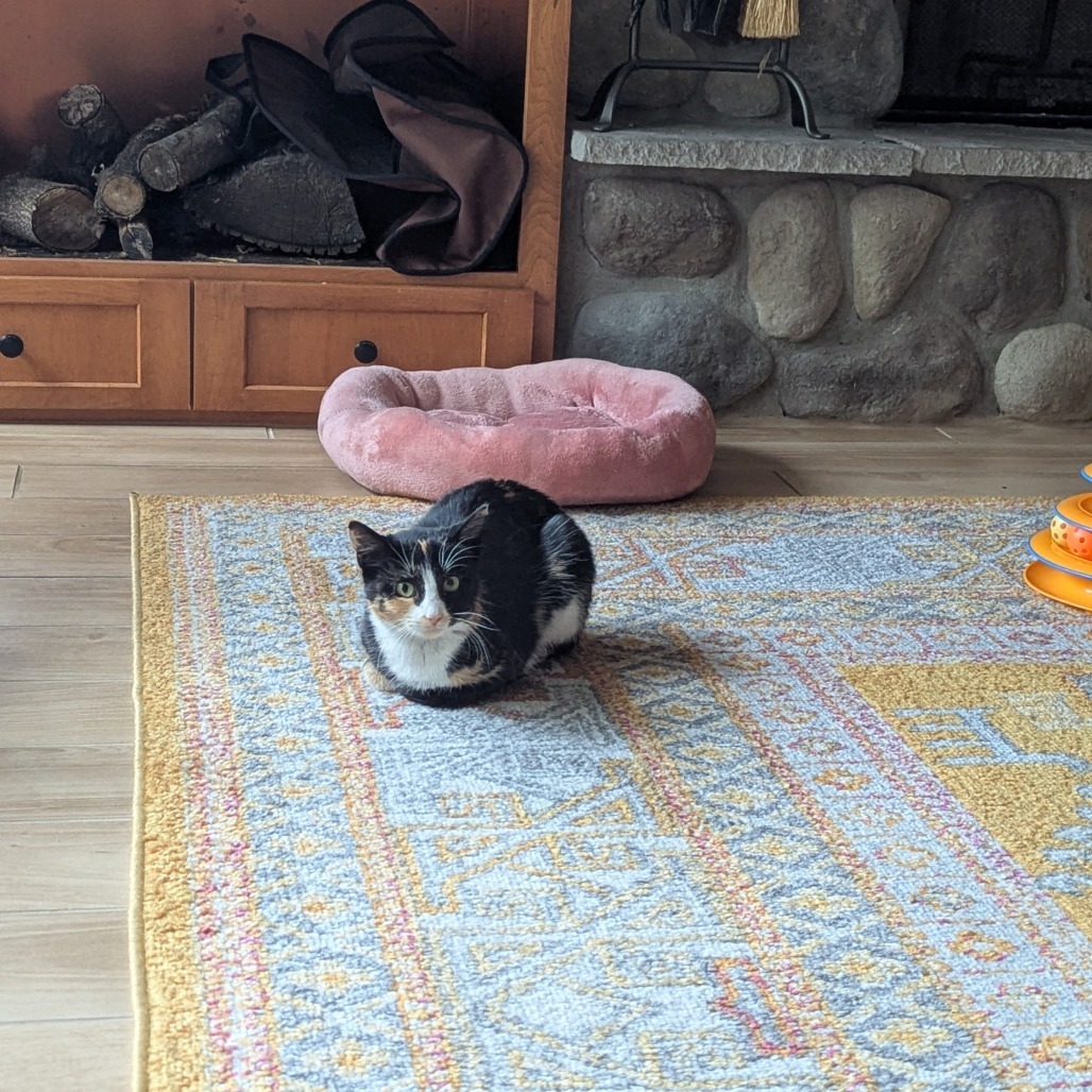 Winona--In Foster
