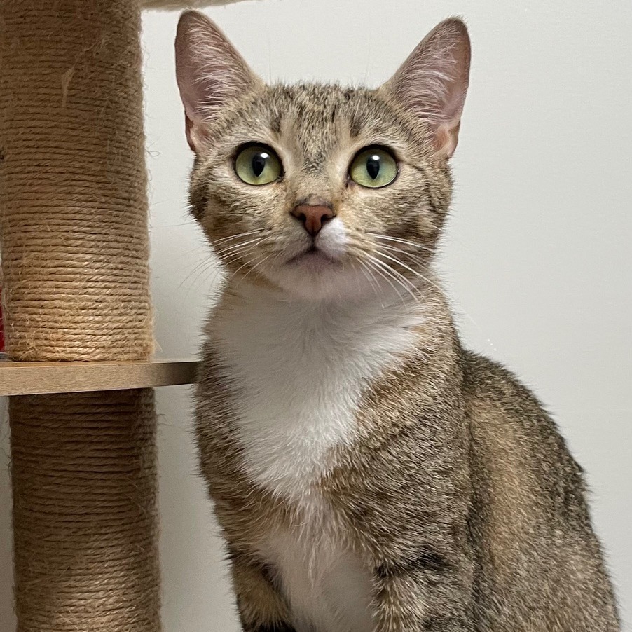 Delilah