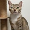 Delilah photo 1