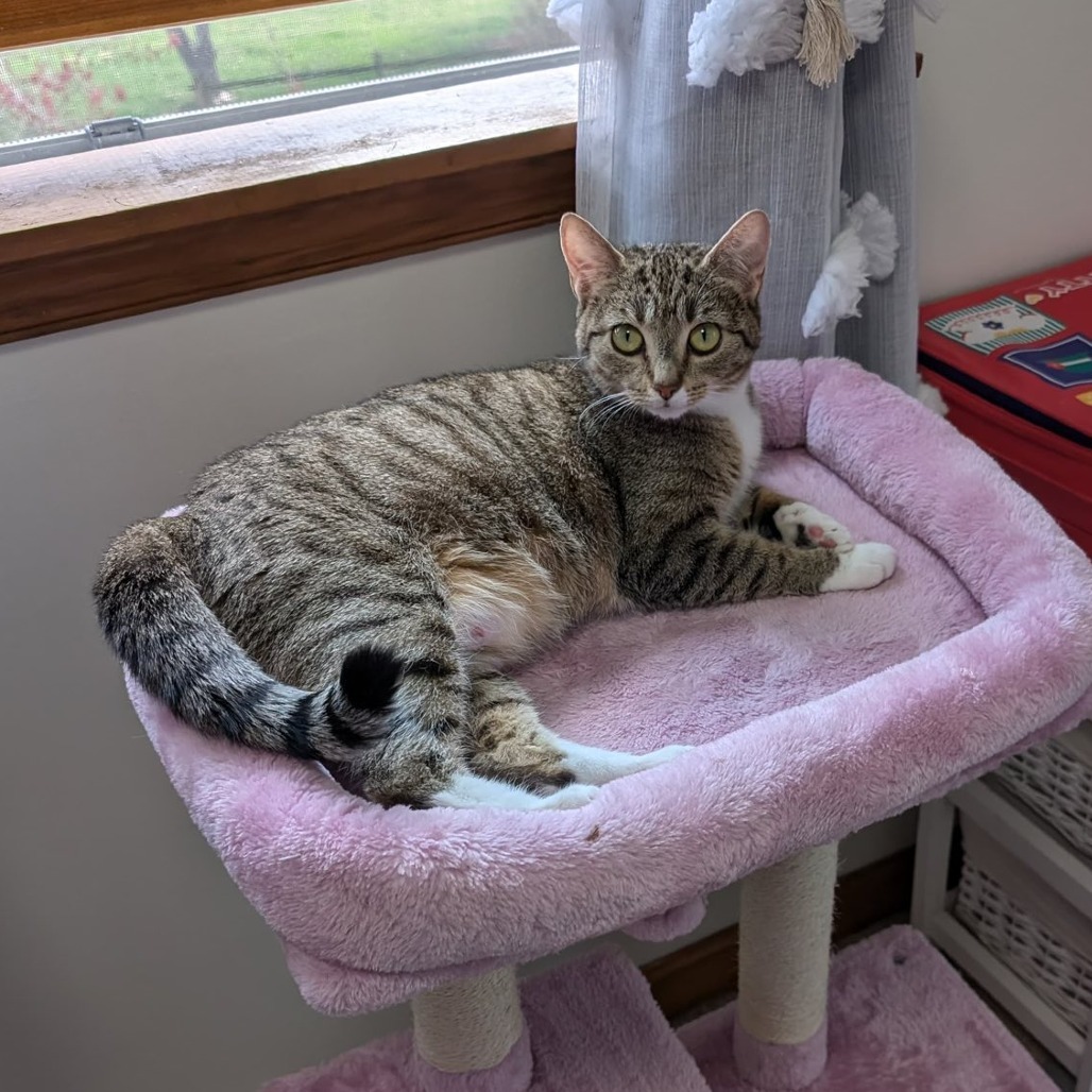 Delilah