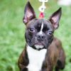 Mario 21391 photo 1