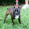 Mario 21391 photo 2