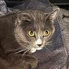Winston photo 2